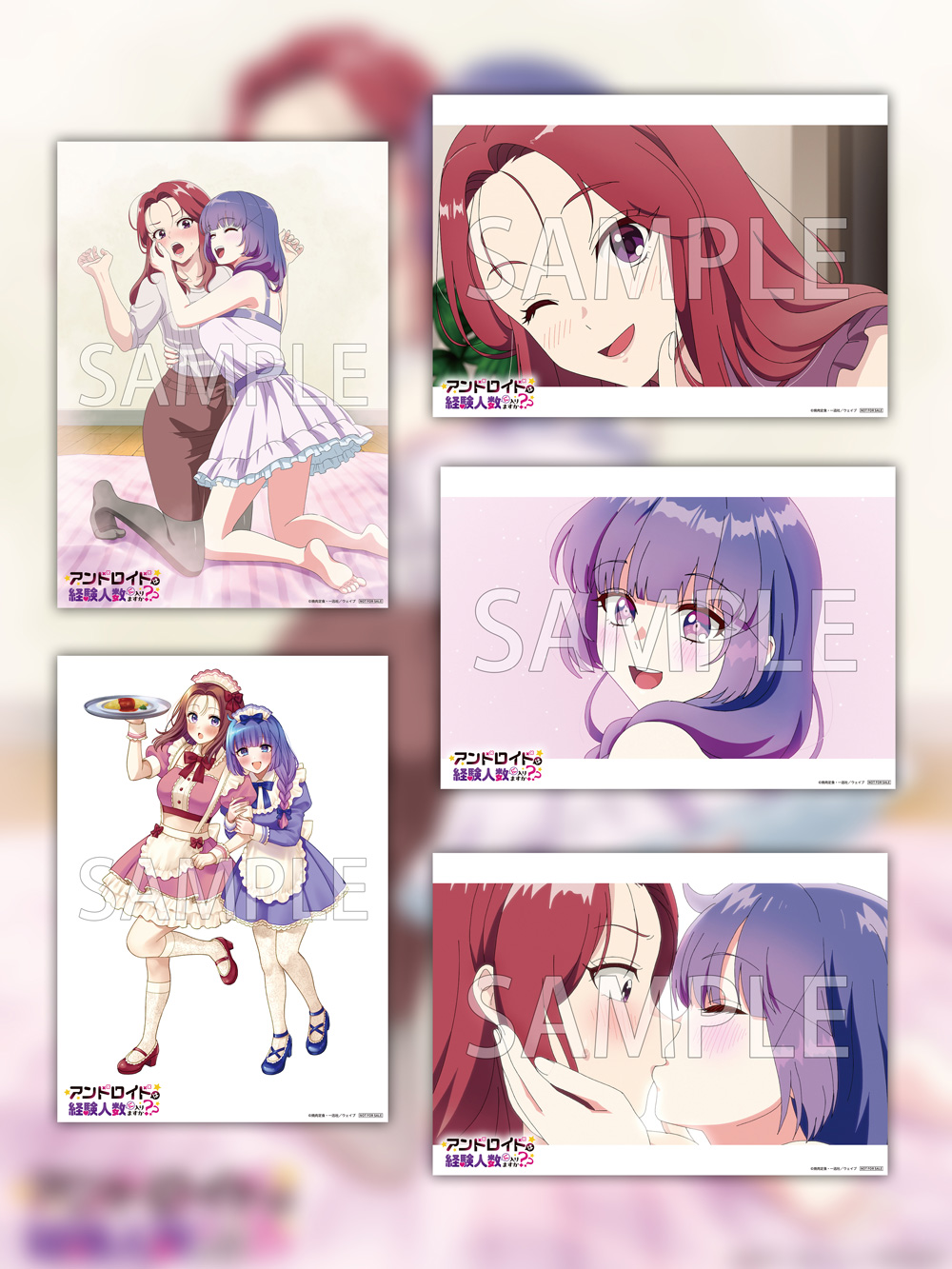 ビジュアルシート5枚セット